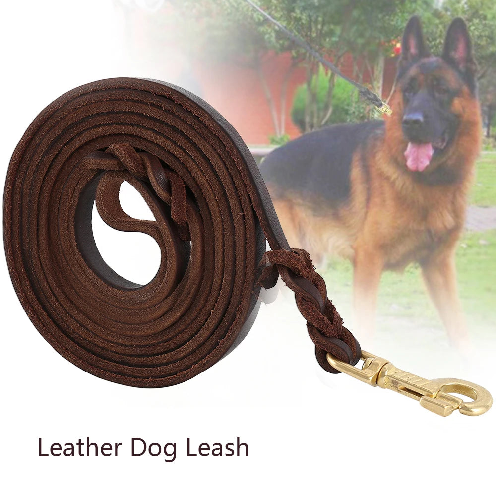German shepherd with the Braided Leather Dog Lead