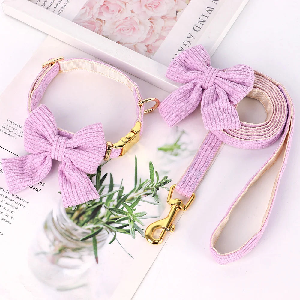 Bow Tie Collar & Lead Set in purple