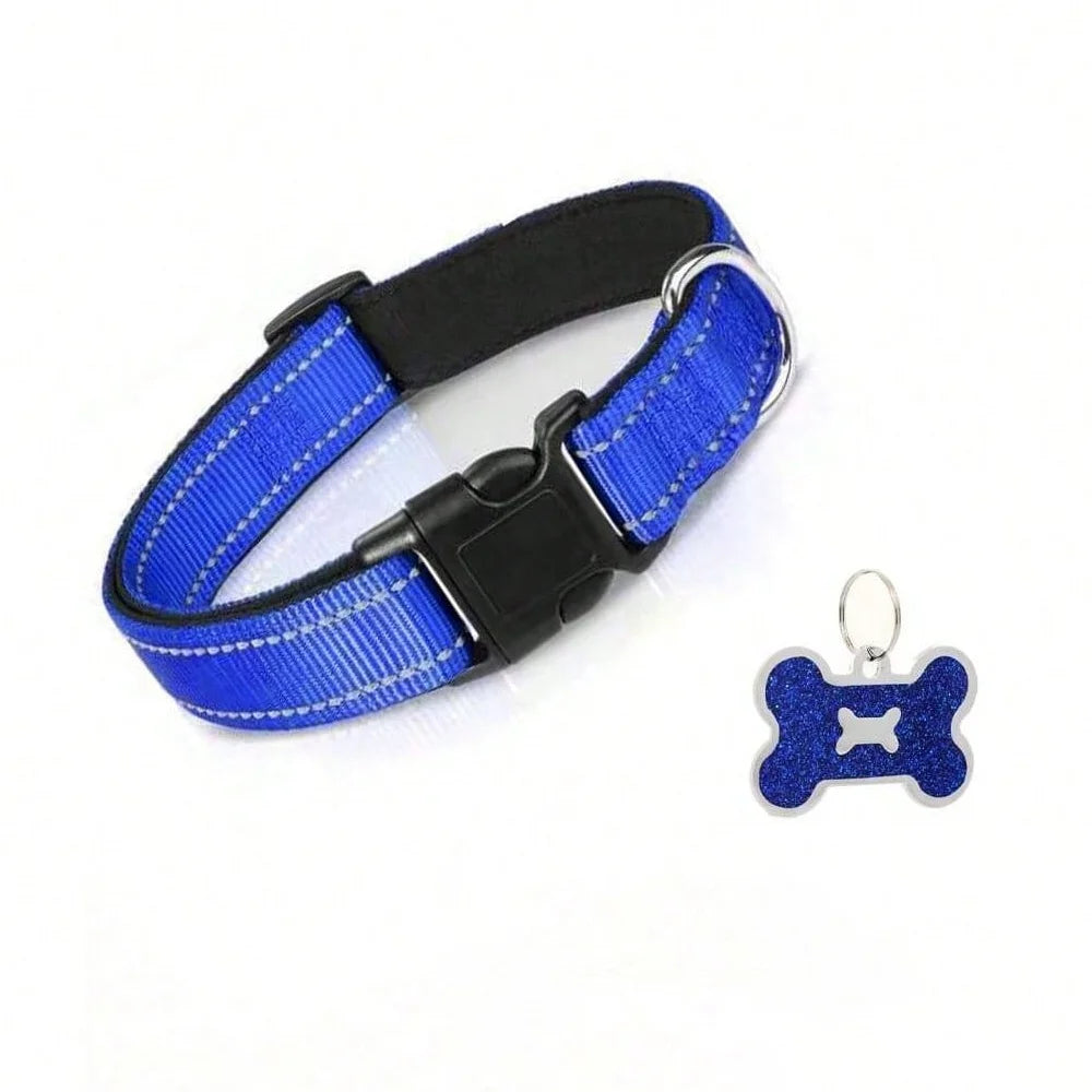 Reflective Padded Dog Collar in Blue