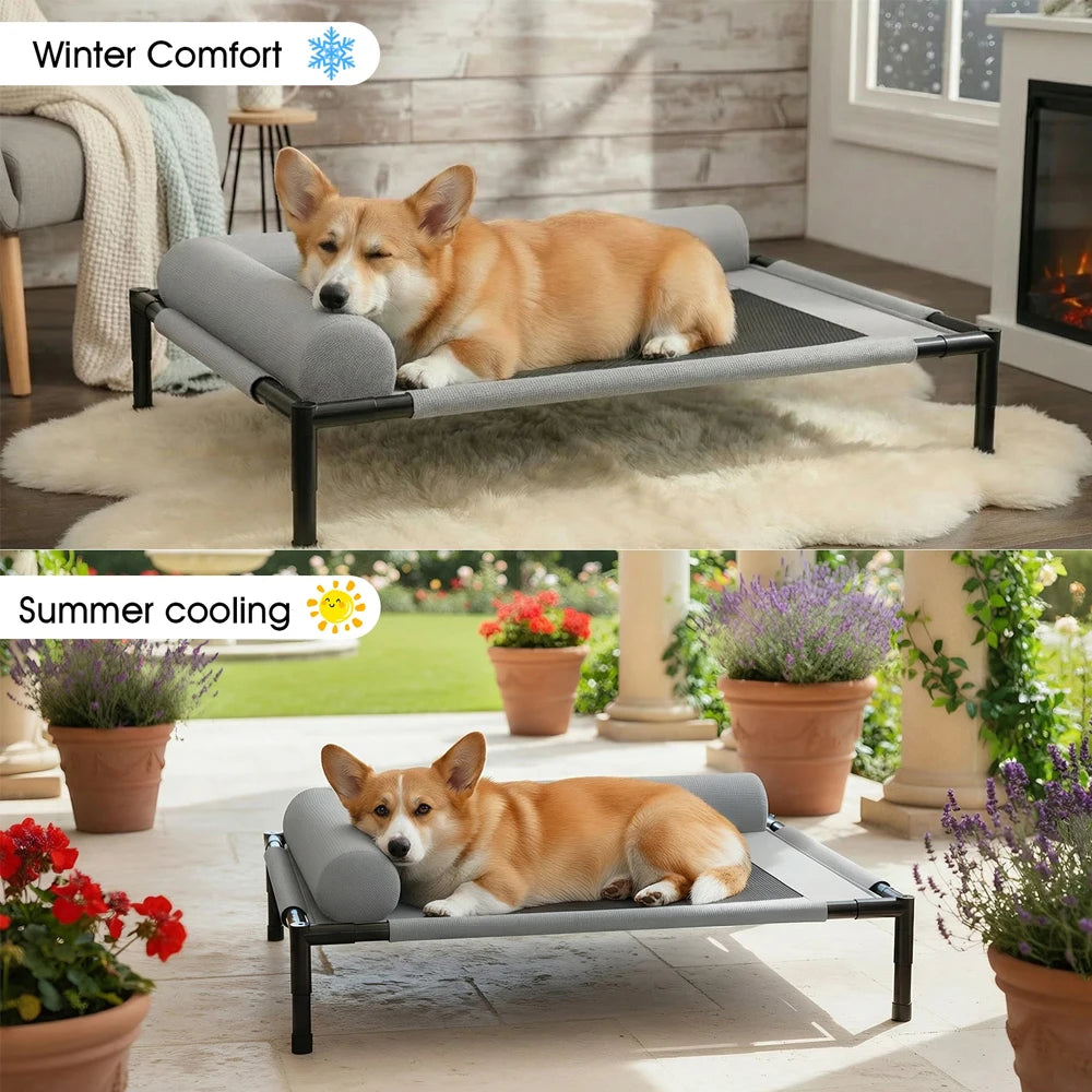 Raised pet cot used indoors and outdoors