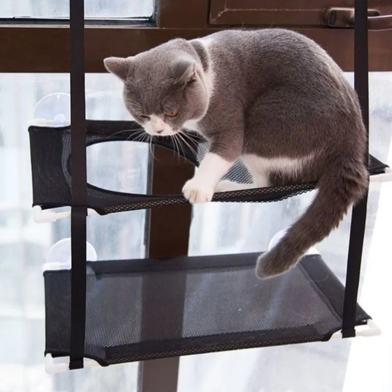 Cat on the double-deck Cat Window Hammock