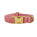 Velvet Dog Collar in Coral Pink