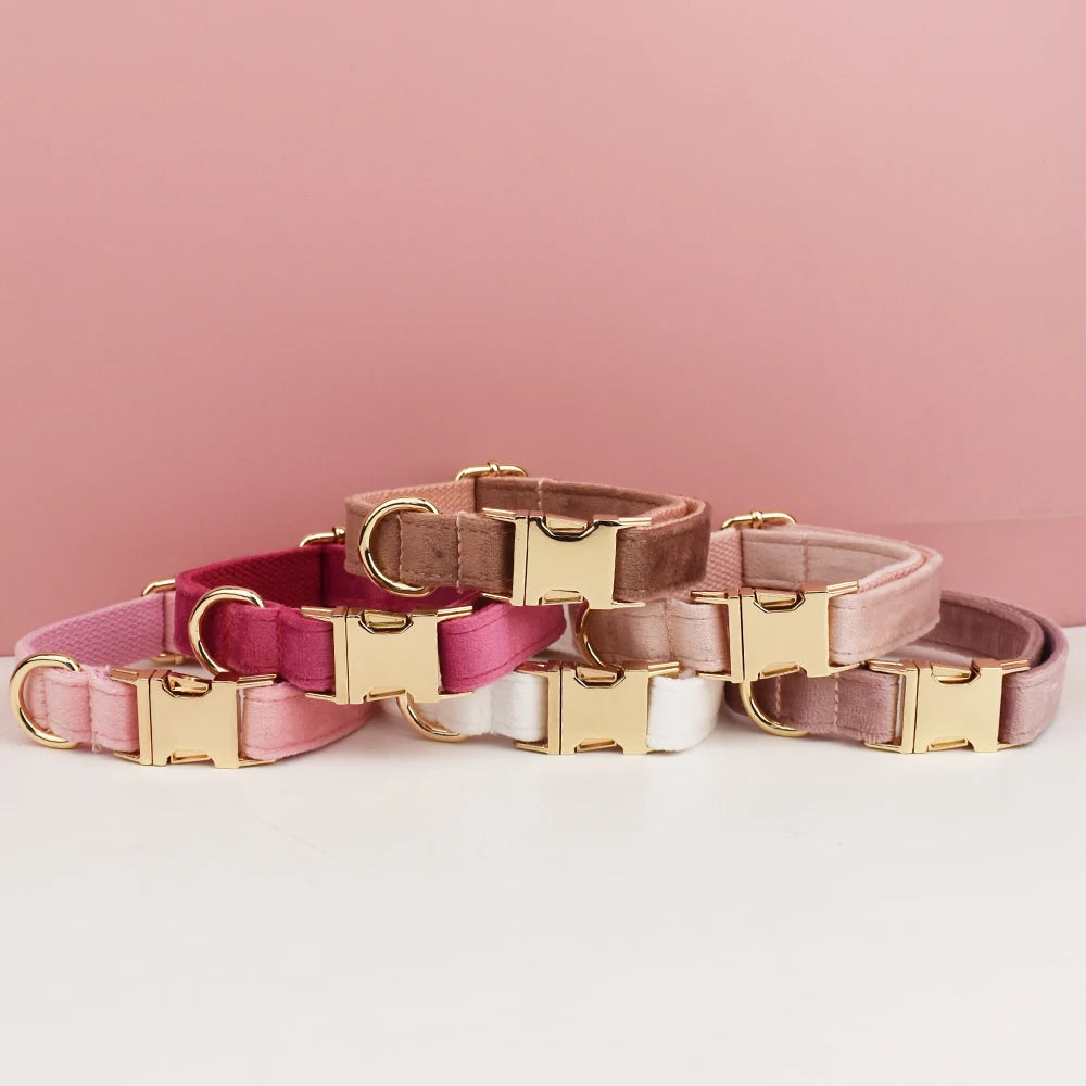 Row of Velvet Dog Collars with gold buckles
