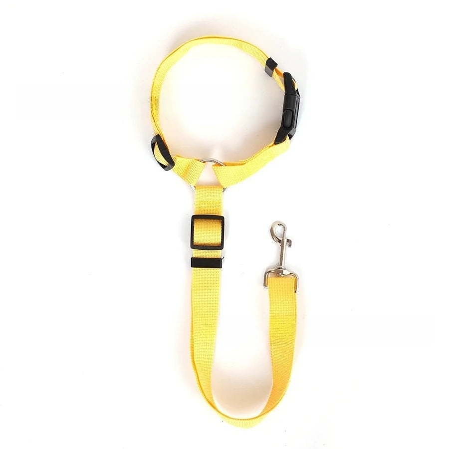 Car Seat Belt Lead