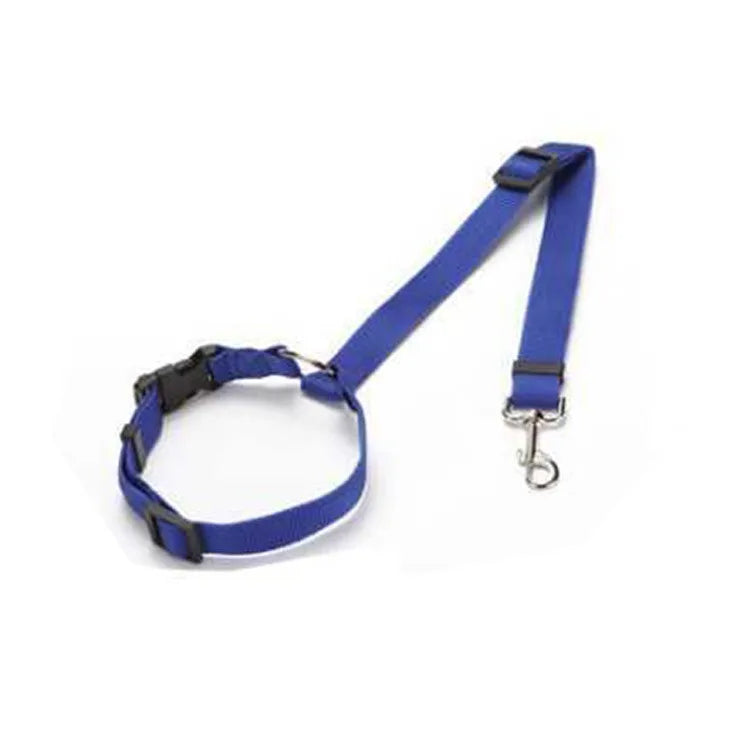 Car Seat Belt Lead
