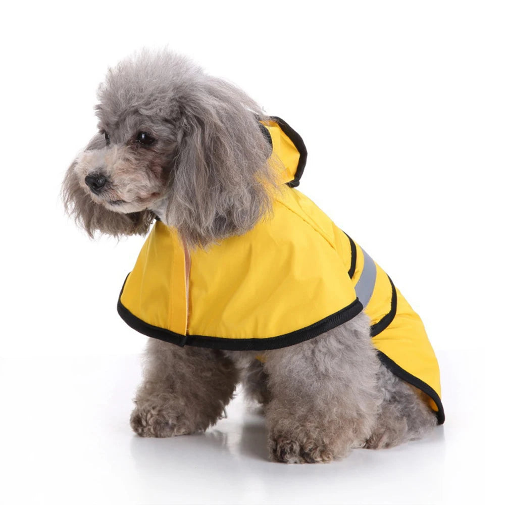 Poodle wearing the yellow Hooded Dog Raincoat