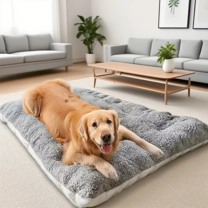 Golden Retriever lying on the Large Plush Dog Bed in a living room