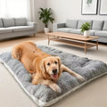 Golden Retriever lying on the Large Plush Dog Bed in a living room